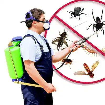 pest control Abbeville